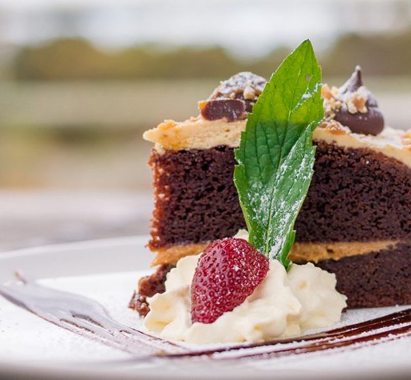 cake dessert
