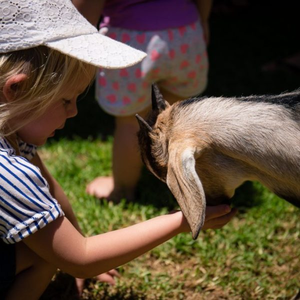 Kids playing with a goat at a club event