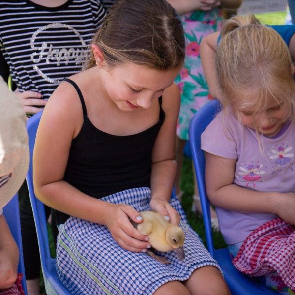 Kids playing with a rabbit at a club event